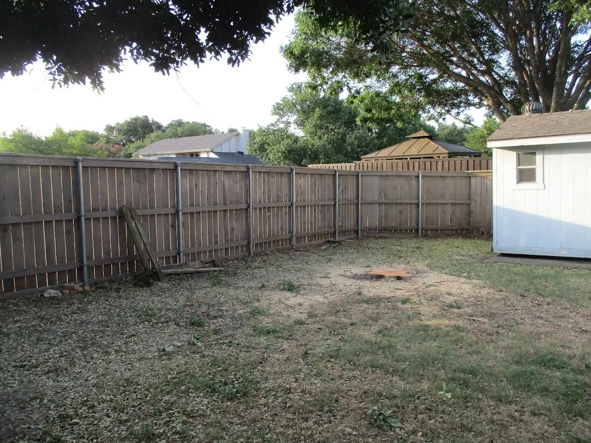 Cleared yard after professional tree removal in Glen Flora